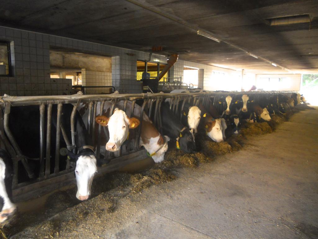 Ferienwohnung Am Bauernhof Strassonig Vulgo Hornis Moosburg Exteriör bild